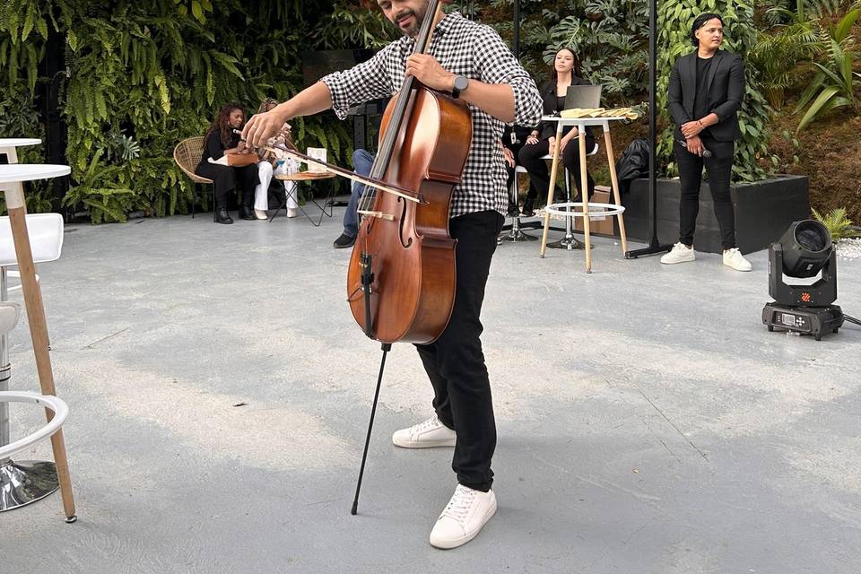 Cello One