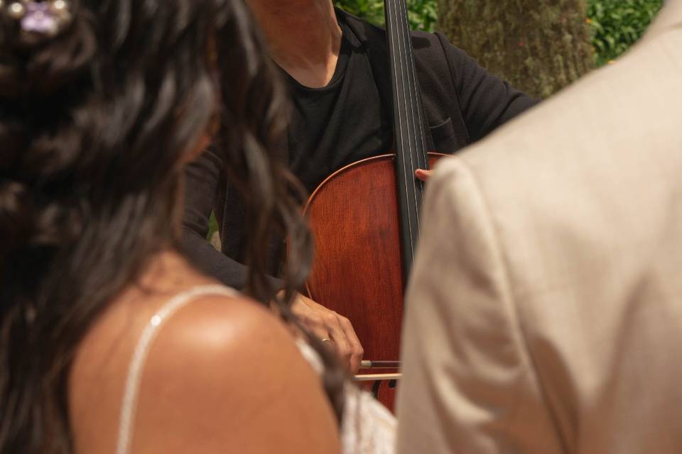 Cello One