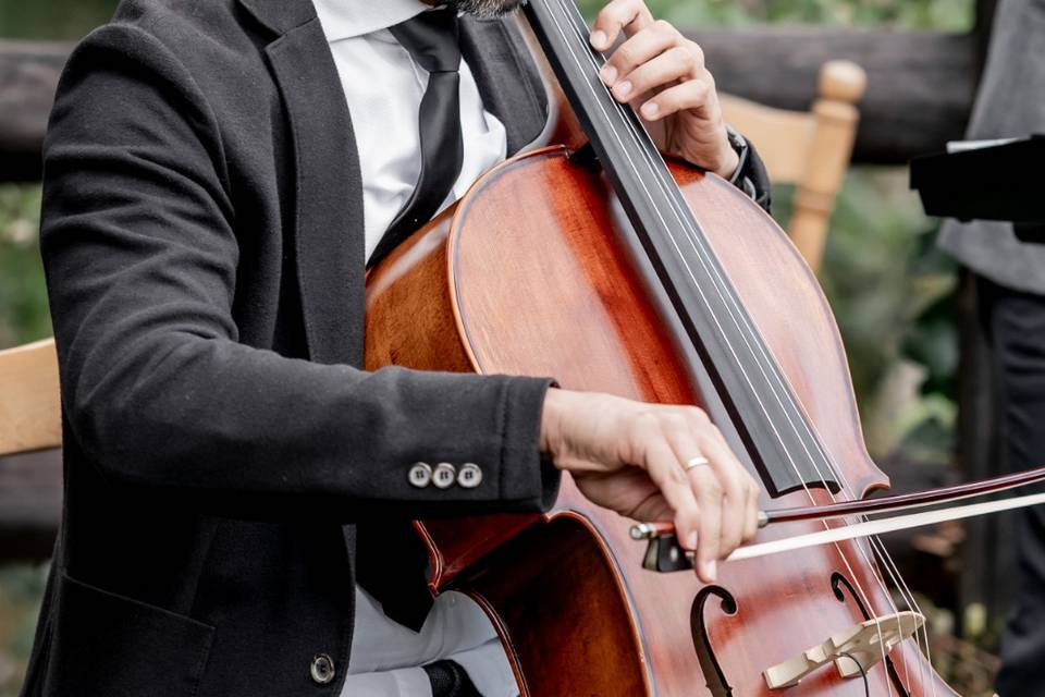 Cello One