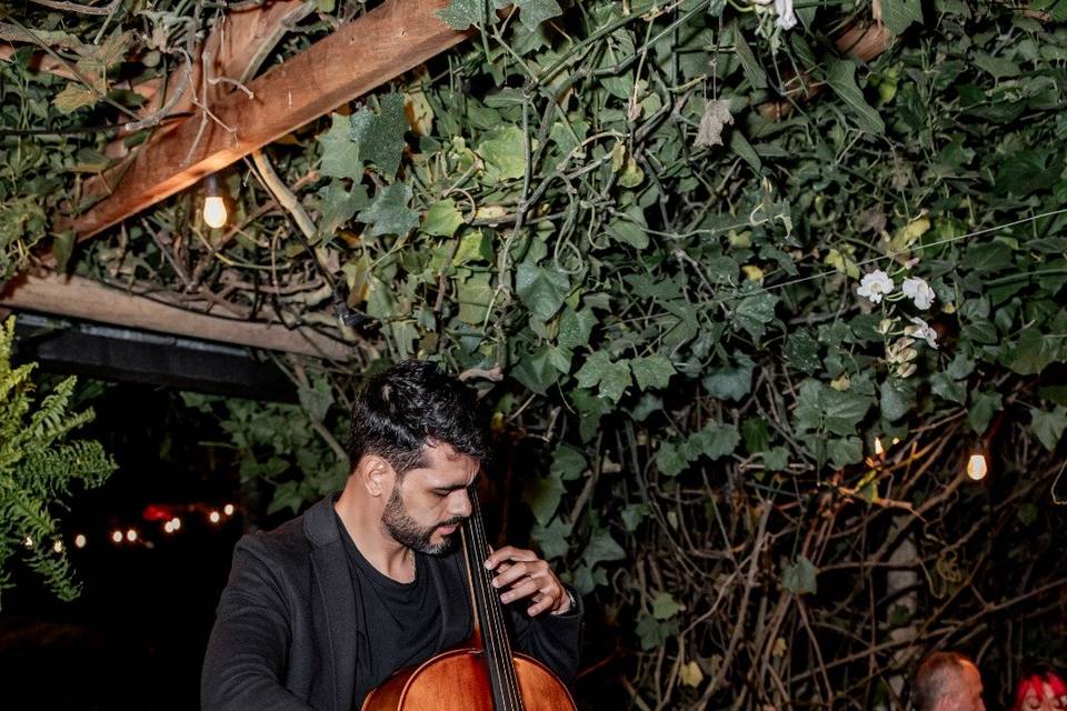 Cello One