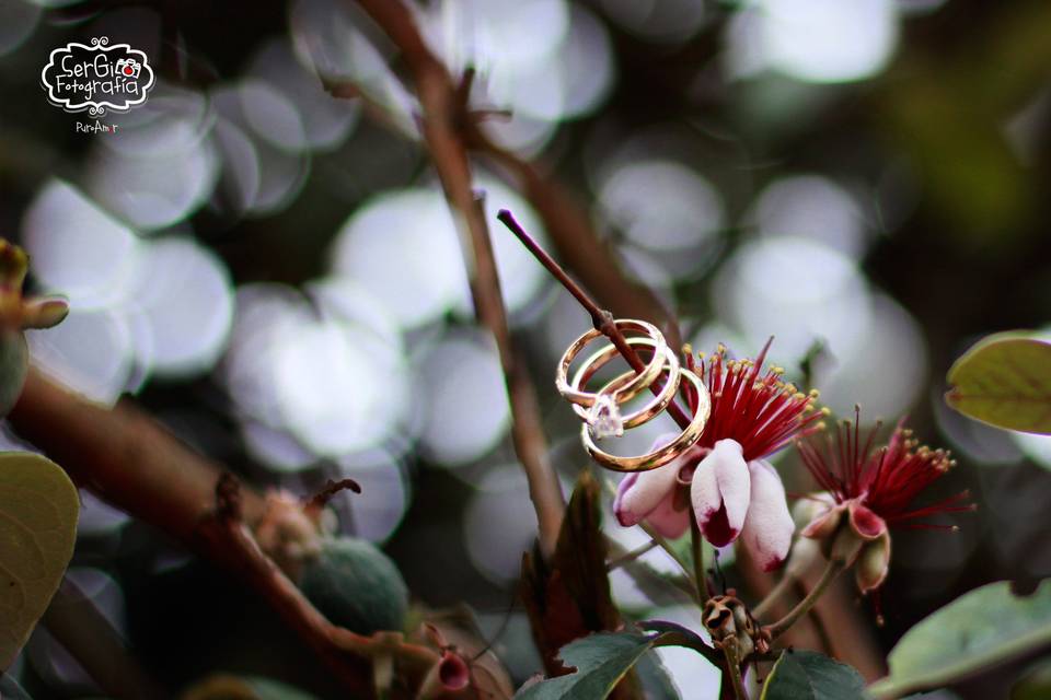 Argollas novios