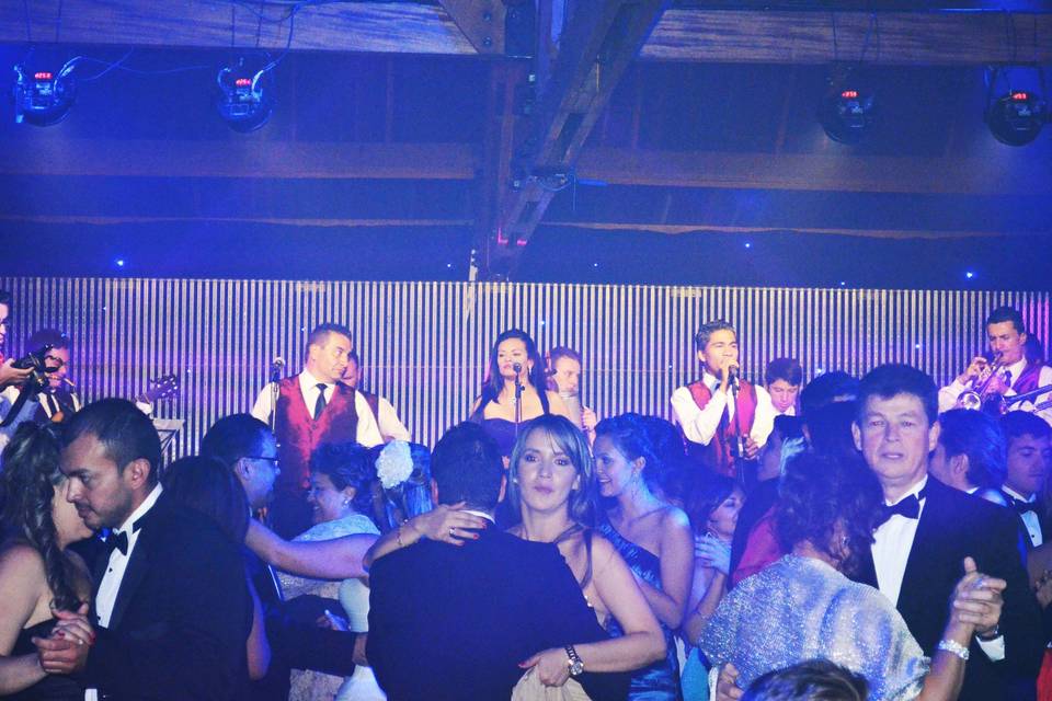 Músicos bodas cali