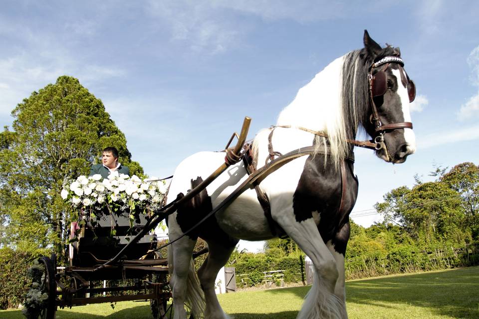 Llegando por la novia