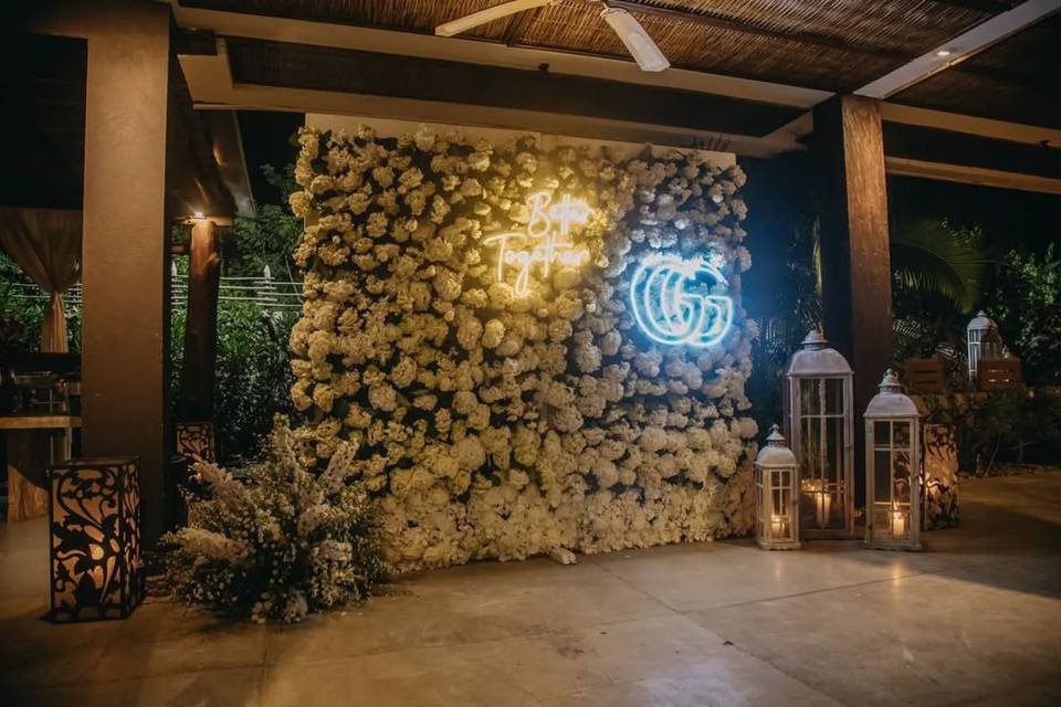 Pared de flores blancas y luces