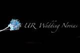 Ur Wedding Novias logo