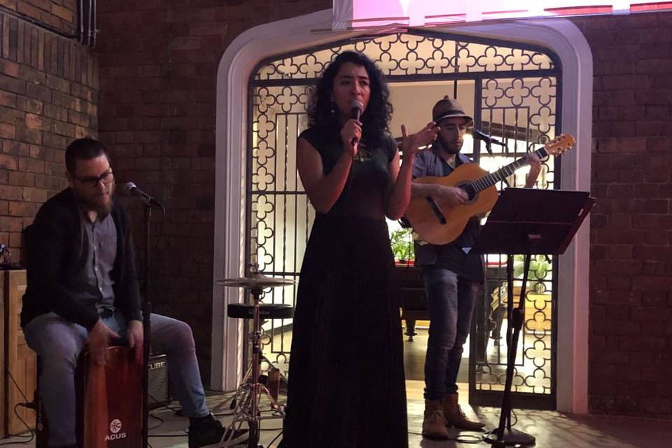 Show en vivo, trio