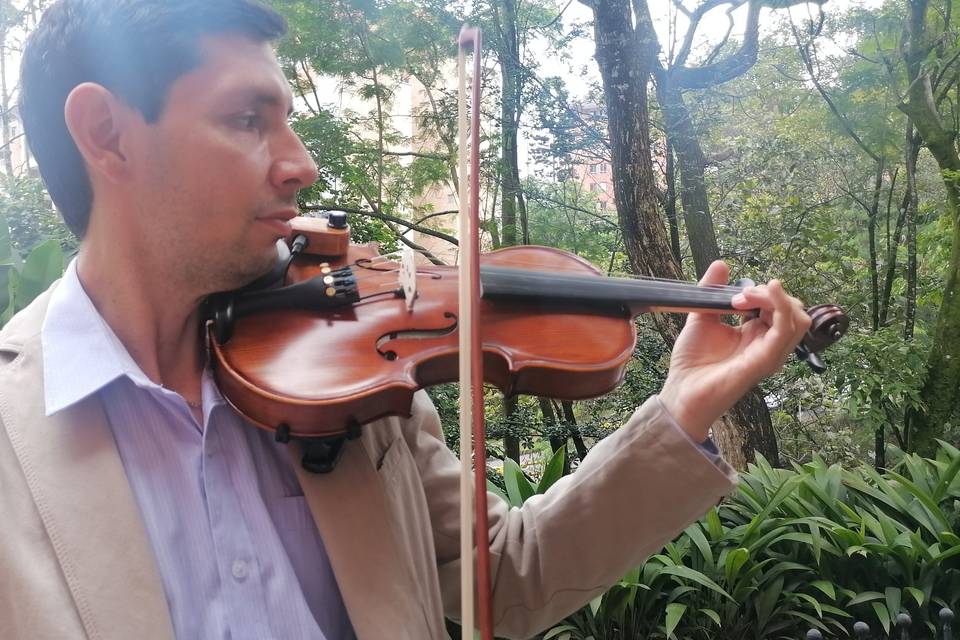 Violín