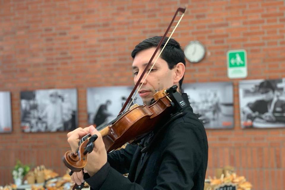 Violín