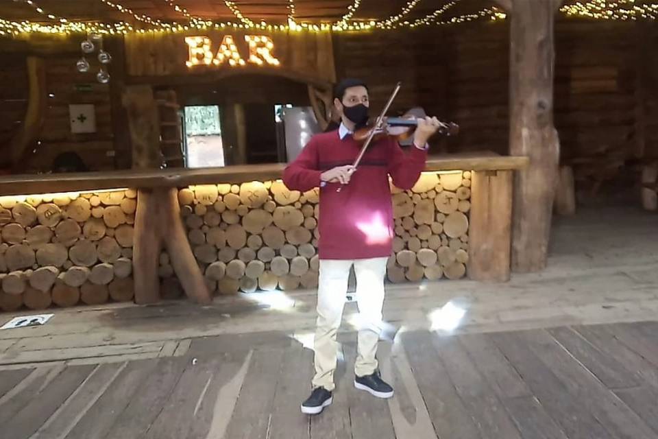 Show de violín