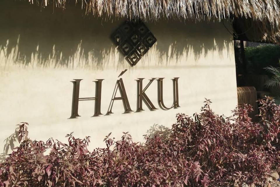 Haku Palomino