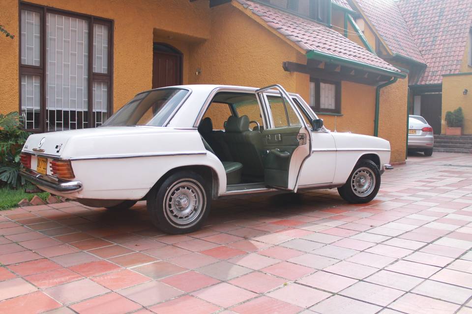 Benz 6