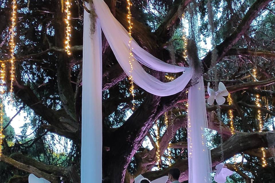 Diseño de bodas modernas