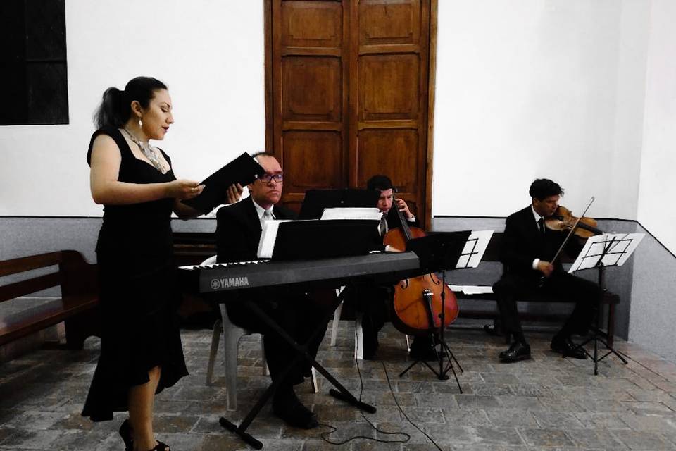 Voz, piano, violín y cello