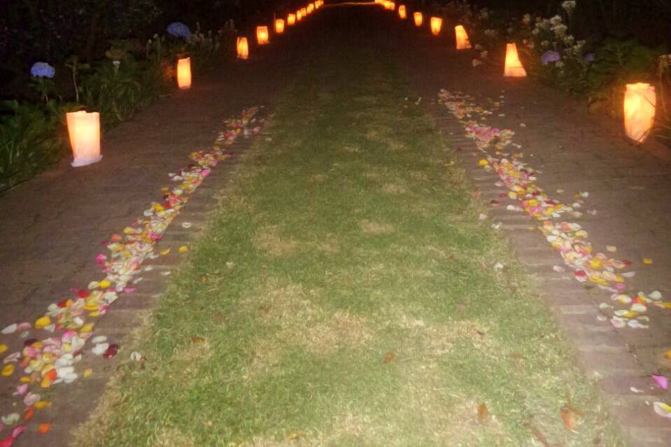 Camino con luminarias