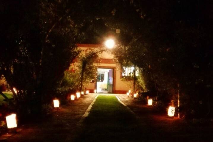 Camino con luminarias