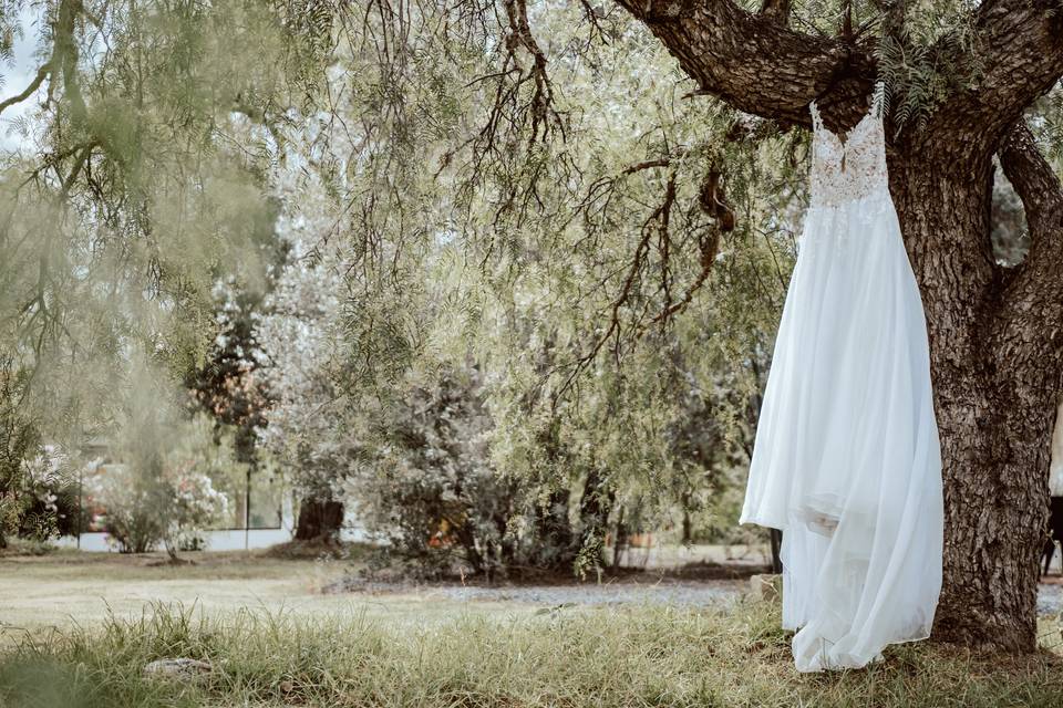 Toma de fotos de momentos significativos en la boda