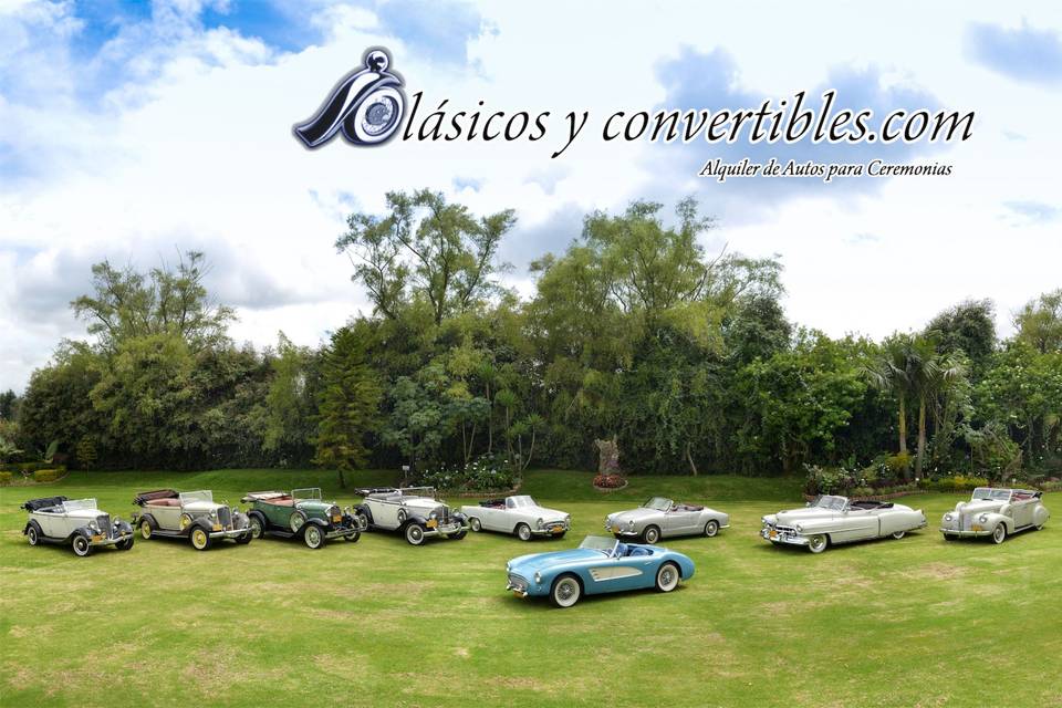 Clásicos y Convertibles