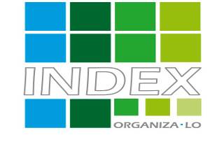 Logo INDEX