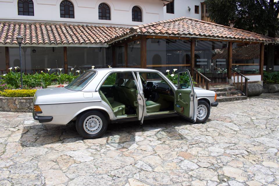 Mercedes Benz 250- 1981