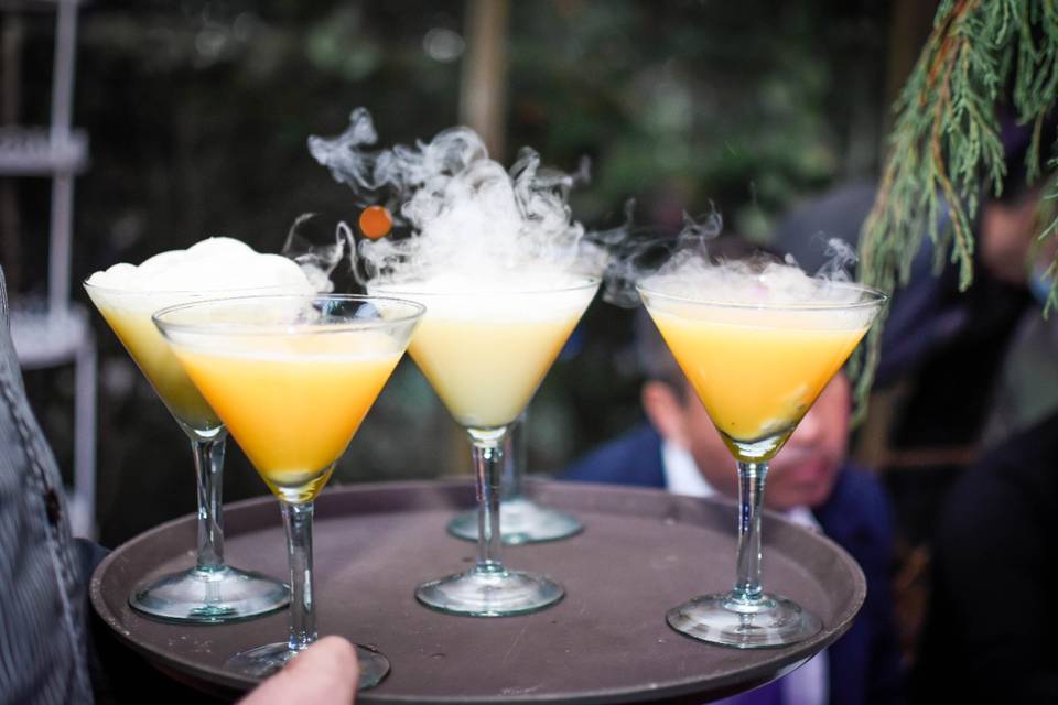 Cocteles