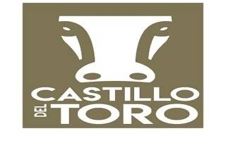 Castillo del Toro logo