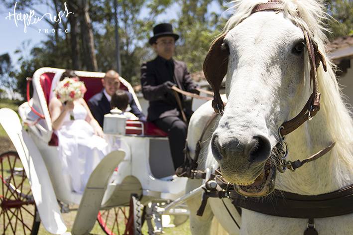 Boda de Vero y Cesar