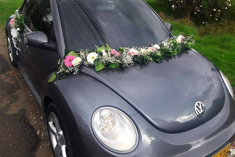 Decoracion Carro de los novios