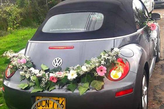 Decoracion Carro de los novios