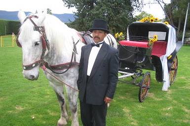 Coche para tu boda