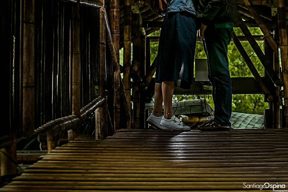Prewdding jardín botánico