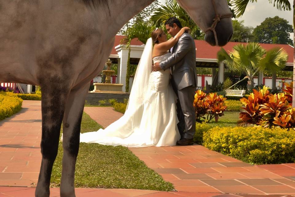 Postboda