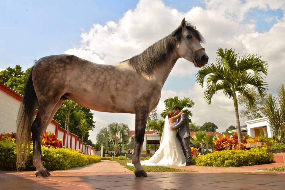 Postboda