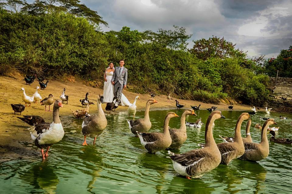 Postboda