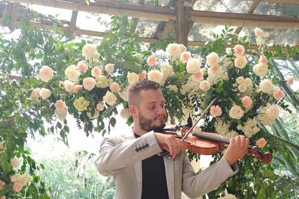 Violín show boda