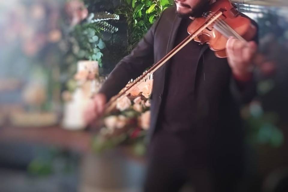 Show violín-cello