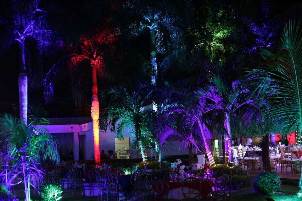 Club Privado Palmera