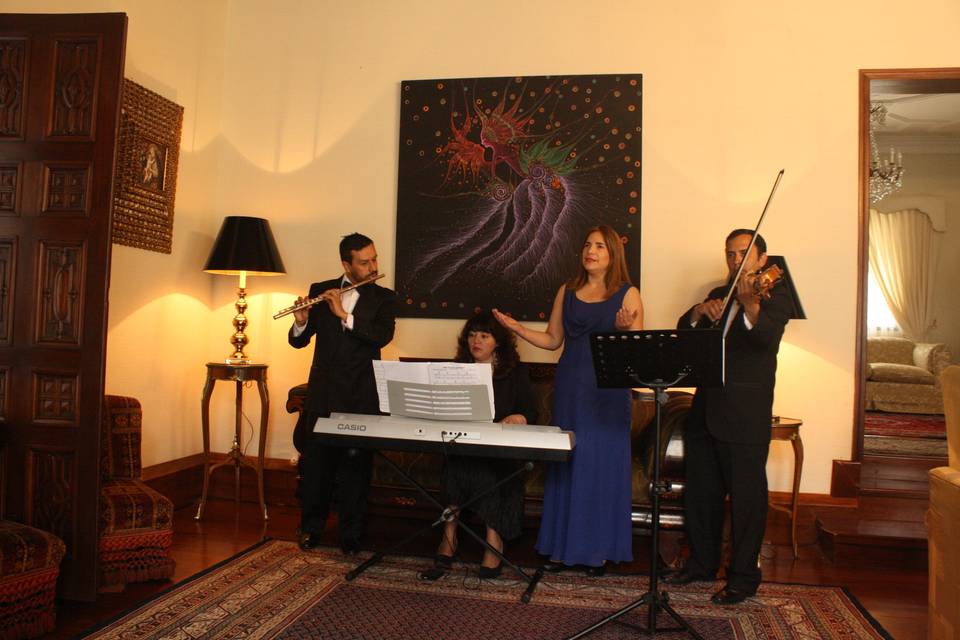 Ensamble Música Recital Novios