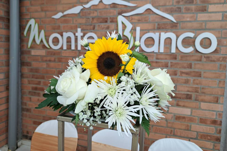 Monte Blanco