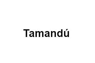Tamandú