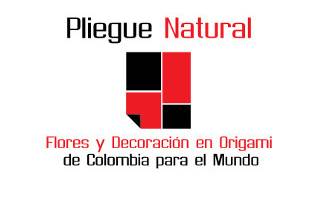 Pliegue Natural Logo