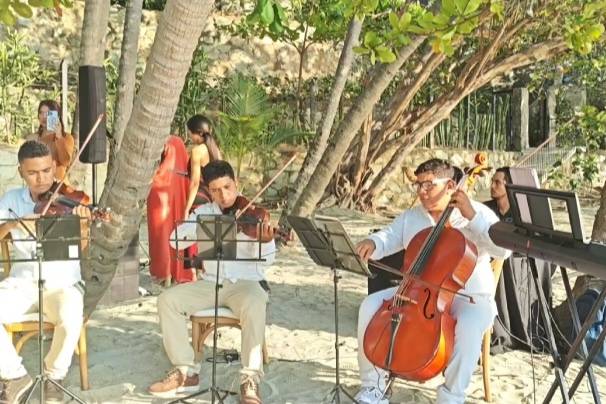 Trio de cuerdas y Piano