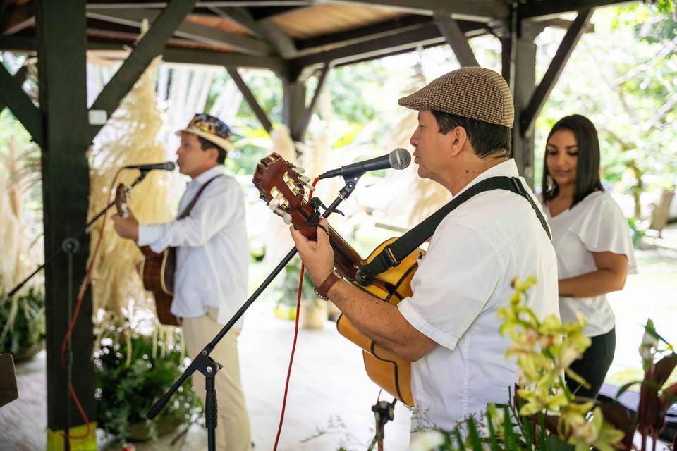 Grupo Musical