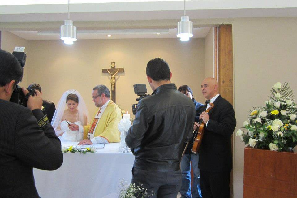 Violin y solista