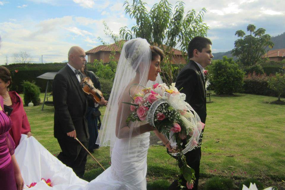 Violinista cortejo