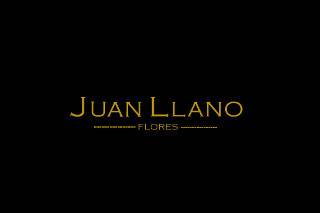 Logo Flores Juan Llano