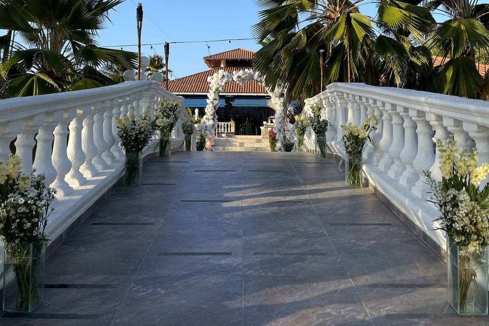 Puente entrada
