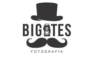 Logo Bigotes Fotografía