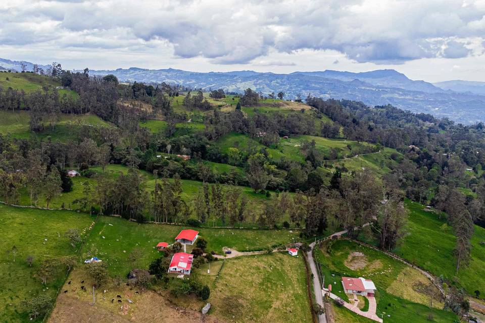 Zonas verdes y salón