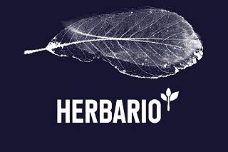 Herbario logo