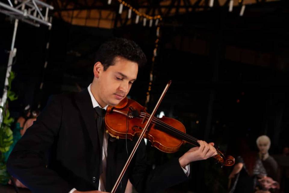 Violinista romántico Bogotá